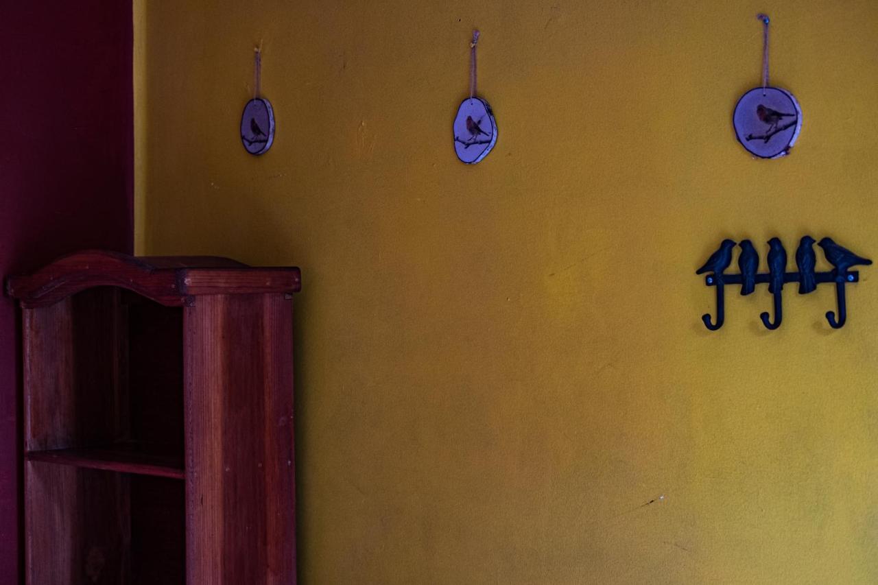 Hostal Pochon Oaxaca Kültér fotó